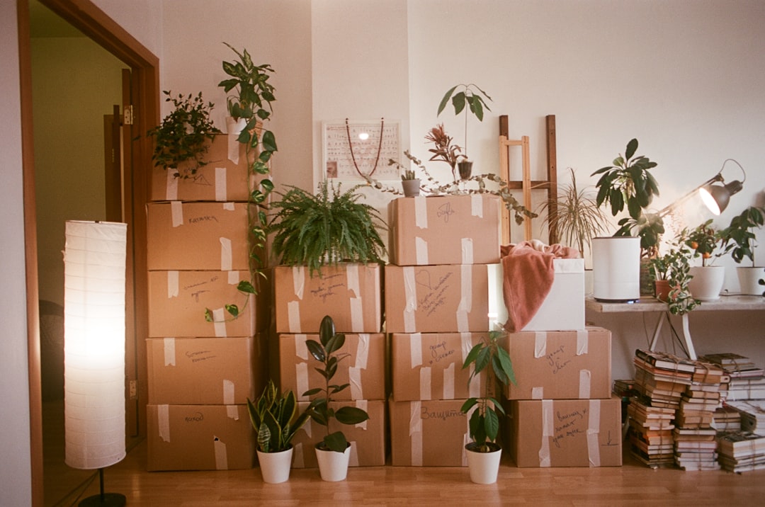 Time to move. Film shoot.🌟 Your Creative Projects Await! 🌟 If you’ve used this photo in your work, I’d love to see it! Please send a link to your project via email at dinabdmsh@gmail.com Your creativity inspires me, and I’m excited to see how you’ve brought this image to life. If you appreciate my work and would like to support me, feel free to check out my donation link https://paypal.me/dinamazing Thank you!