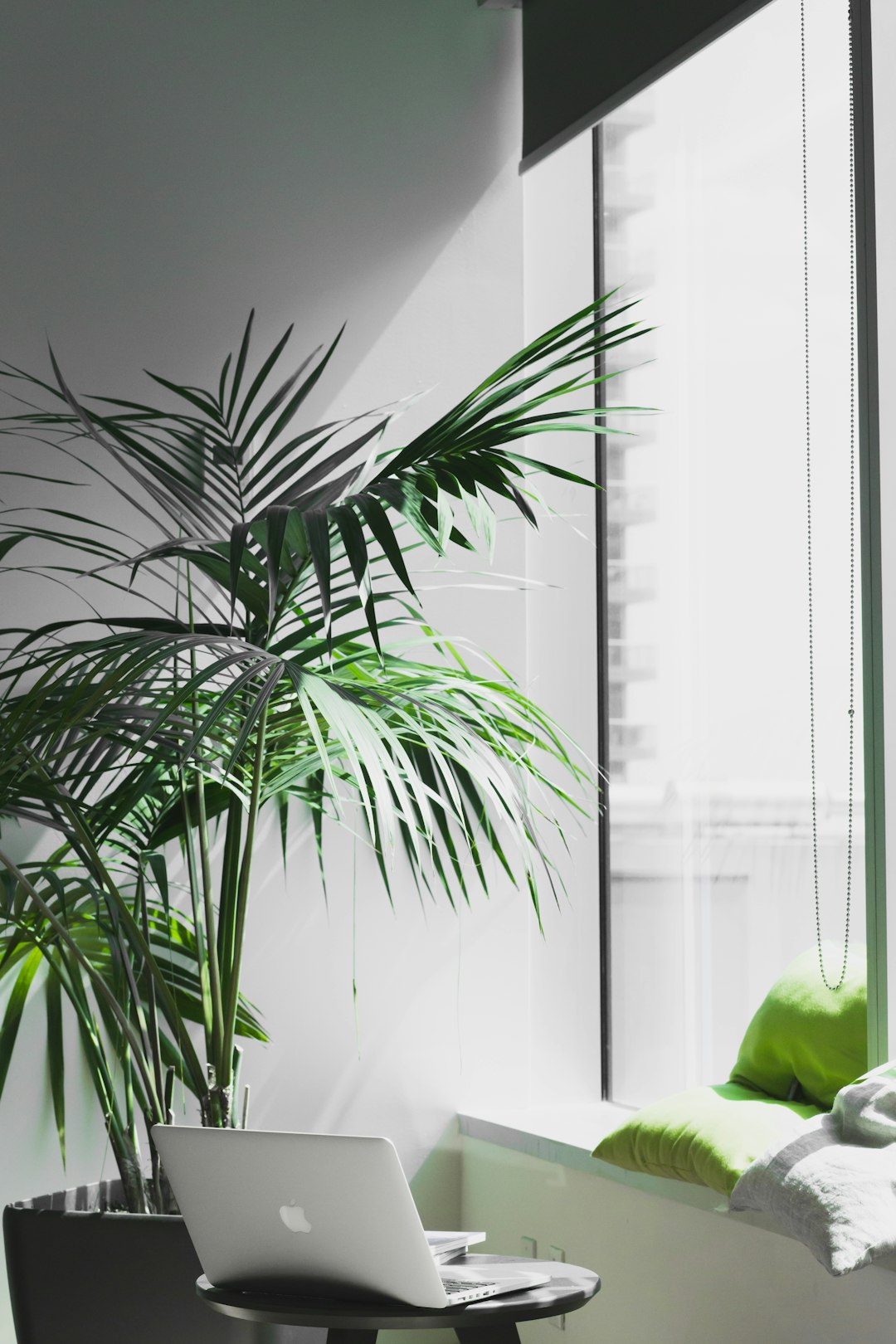 For Unsplash and Grovemade